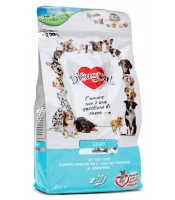 DISUGUAL LIGHT MEDIUM 12KG